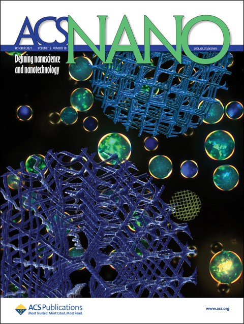 ACS Nano volume 15, issue 10