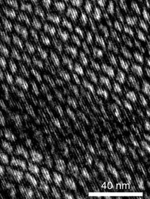 A black and white closeup of a thin film