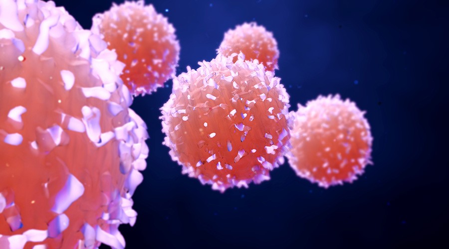 New cancer treatment may reawaken the immune system, MIT News