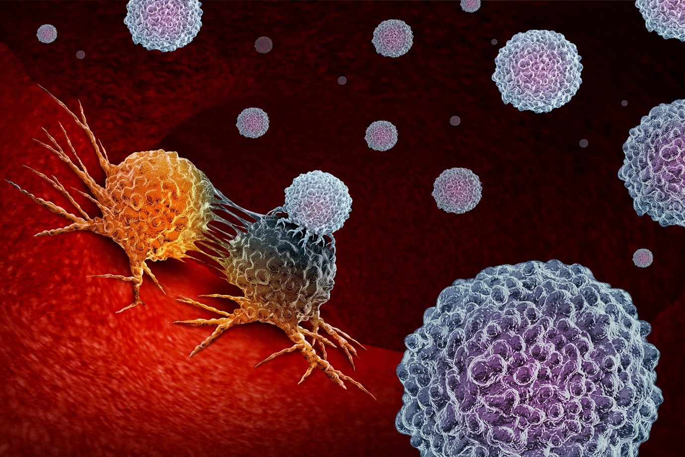 Cancer Immunotherapy stock image