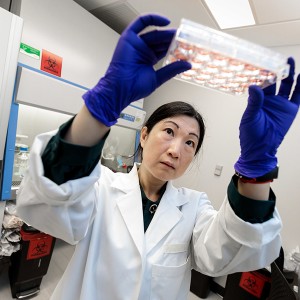Prof. Joyce Chen holds up a sample try in her lab